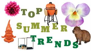 Top Summer Trends